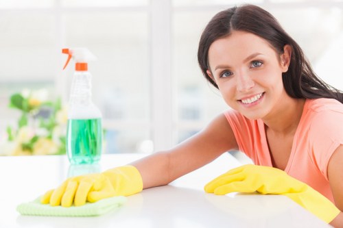 Carpet cleaners W1 improving a home carpet in a London interior