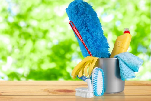 Eco-friendly carpet cleaning service in W1