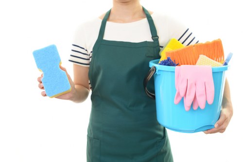 Carpet cleaners W1 refreshing a property interior with expert care