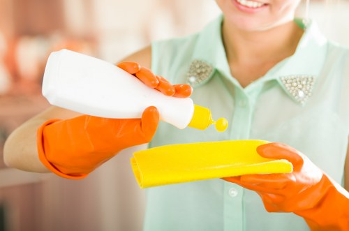 Reliable oven cleaning in W1 for homes and rentals