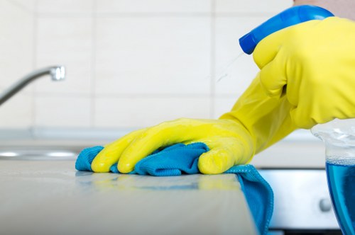 Deep oven cleaning service in W1 for built-in appliances