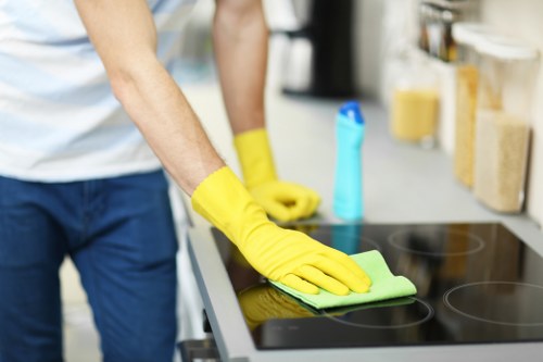 Professional carpet cleaner inspecting a room before treatment