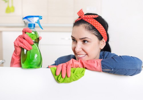Kitchen deep cleaning in W1 with detailed surface and appliance care