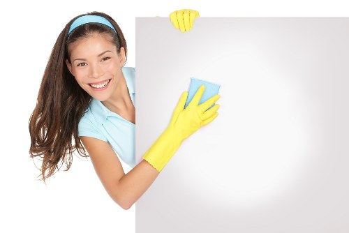 Professional carpet cleaning in W1 removing stains from carpet fibres