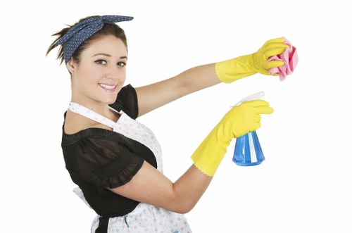 Carpet care and cleaning in a modern W1 interior