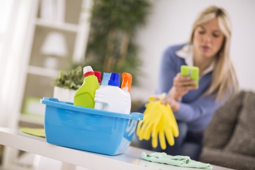 Cleaners in W1 servicing a bright central London workplace