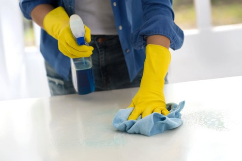 Residential window cleaning service in W1 for a townhouse