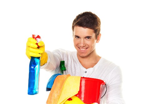 Eco-friendly oven cleaner service in W1