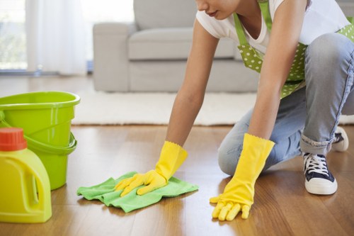 Professional carpet cleaners working with insured and careful procedures